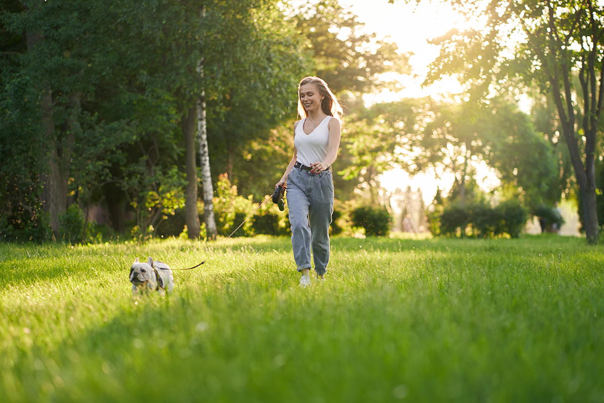 Young happy woman wearing casual outfit smiling and running on grass with french bulldog on leash. Gorgeous caucasian girl enjoying summer sunset with purebred pet in city park, having fun outdoors.